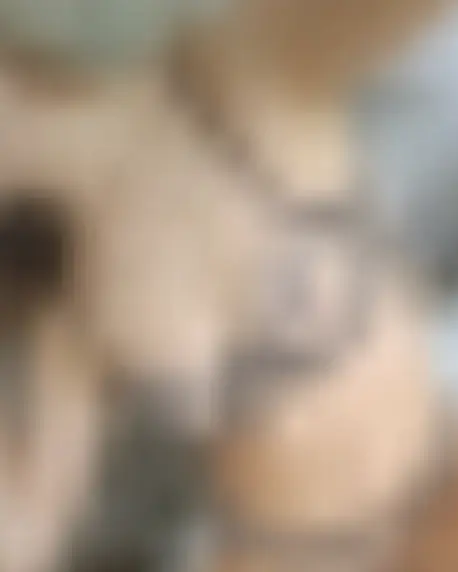 Tina, 22 Jahre — sexanzeigen in Tuttlingen